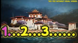 DZONG PUNAKHA Song Without vocalSingeRsonamwangdiofficial339and TenzinWangmoistheme [upl. by Nyledam]