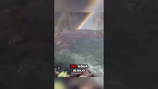 😱La Piscina del Diablo Belleza y Peligro en las Cataratas Victoria😱 [upl. by Hung750]