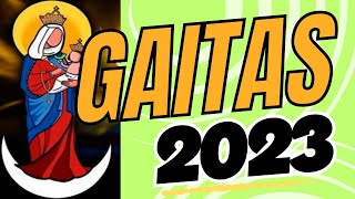 GAITAS 2023  HOMENAJE A EL GRAN COQUIVACOA  GAITISMO  EL GAITERO DE A PIE [upl. by Anaitak]