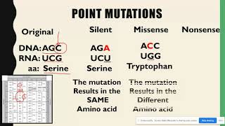 Substitution amp Frameshift Mutations AP Biology Topic 67 [upl. by Stanly]