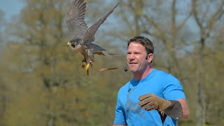 Steve Backshall Live at Longleat for May HalfTerm 2024 [upl. by Jenkins287]