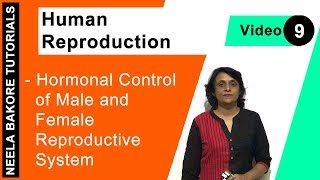 Human Reproduction  NEET  Hormonal Control of Male and Female Reproductive System  Neela Bakore [upl. by Saalocin49]