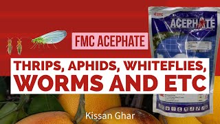 Acephate for thrips by FMC  Usages and benefits  for all crops  aphids  Kissan Ghar [upl. by Enneiluj]