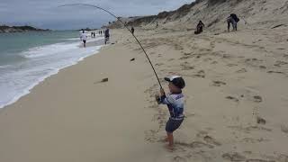 3 year old catching 6kg salmon from the beach [upl. by Drauode]