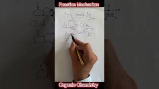 Acid Catalyzed Hydrolysis of Cyclic Ester  Organic Reaction Mechanism  JEE  Shorts [upl. by Marx]