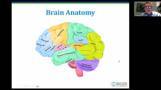 The Impact of Brain Injury [upl. by Healy]