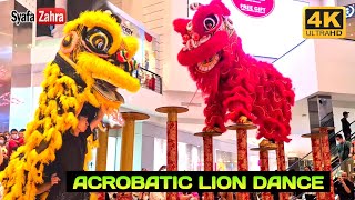 🔴 Acrobatic LION DANCE CNY 2023  BARONGSAI MAHA VIRYA [upl. by Nennarb839]