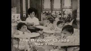 BeechNut  Baby Food  The Brecker Quads Feeding  Vintage Commercial  1950s  1960s [upl. by Marras]