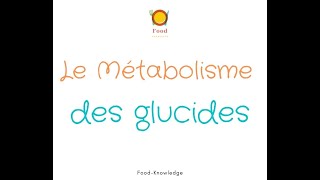 Le métabolisme des glucides dans le corps humain [upl. by Duaner112]