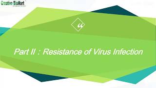 RNA Viruses Triggered Signal Pathway [upl. by Einnalem]