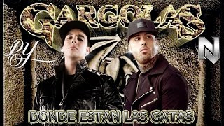 Donde estan las gatas  Nicky Jam ft Daddy Yankee [upl. by Liamsi]