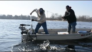 How to Properly Net a Fish  Beckman Nets [upl. by Ahsiema]