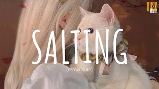 Salting remix cute  Rendy Da Silva  Vietsub  Lyric Tik Tok Song [upl. by Dominy]