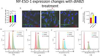 DiaBZl stimulates NYESO1 antigen expression on tumor cells Code 704 [upl. by Good684]