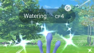 Omg I finally caught this water Shiny 😍 Pokemon go [upl. by Anitnelav]