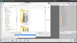 Import Keyword Tags into Photoshop Elements Organizer [upl. by Draneb]