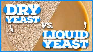 DRY YEAST VS LIQUID YEAST  Home Brewing Beginners Intro to Yeast [upl. by Tiffanie604]