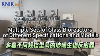 Multiple Sets of Glass Bioreactors of Different Specifications and Models fermenter bioreactor [upl. by Alledi]