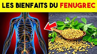 Découvrez les Effets Incroyables du Fenugrec sur Votre Santé [upl. by Zelikow]