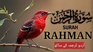 Surah Ar Rahman Mishary Rashid Al Afasy HD VIDEO [upl. by Einial]