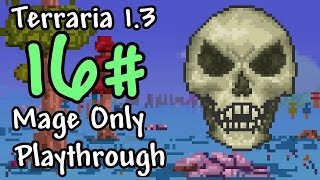 Expert Mode Terraria  Mage Only Skeletron  Episode 16 [upl. by Tyre]