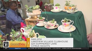 Lakeview Village Holiday Craft Fair in Citrus Heights [upl. by Tenaj]