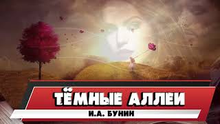 ТЁМНЫЕ АЛЛЕИ  ИА БУНИН [upl. by Alexei]