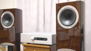 TANNOY Definition DC8 BLADELIUS S101 鳥の詩【空気録音】 [upl. by Campball585]