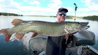 BIG Winnipeg River Musky on St Croix Magic Wand Hint its GREEN muskyfishing stcroixrods [upl. by Servetnick]