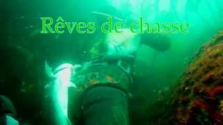 Extrait DVD Rêves de chasse [upl. by Tabatha916]