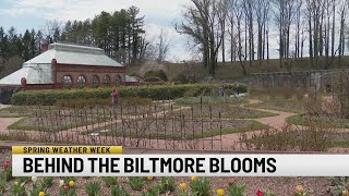 Behind the Biltmore Blooms [upl. by Royo]