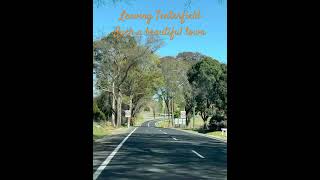 Heading out of Tenterfield roadtrip travel prettytrees peterallen australia roadtrip [upl. by Natanhoj]