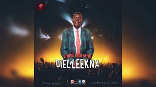 David Manyang Kelual Diel leekna Official Audio [upl. by Harris]