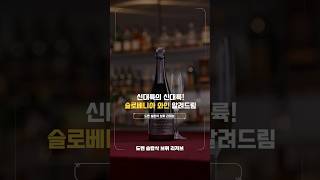 신대륙의 신대륙 슬로베니아 와인 알려드림 와인추천 도멘슬랍삭 와카데미 와인웍스 [upl. by Thierry]