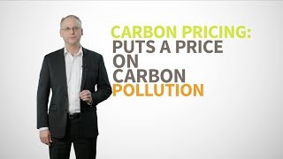 Climate change is costing us Carbon pricing works [upl. by Albion]