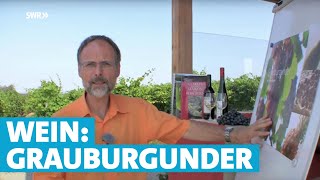 Werner erklärt Wein Grauburgunder [upl. by Leihcey178]