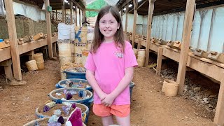 Gem Mining at Emerald Hollow Mine Hiddenite NC [upl. by Aluk]