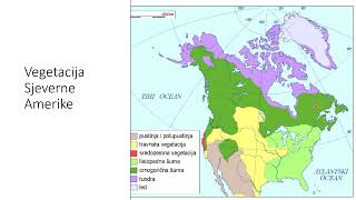 Klimatska i vegetacijska obilježja Amerike geografija 8 razred [upl. by Jaffe946]