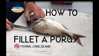 How To Fillet A Porgy  Scup For Boneless Fish Tacos [upl. by Gnim]