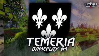 TEMERIA w MINECRAFT  CAŁY WIEDŹMIŃSKI KONTYNENT W MINECRAFT  CZĘŚĆ 1  TEMERIA  YRDENCRAFT [upl. by Poland]