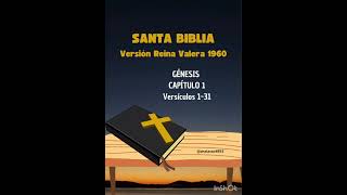 Santa Biblia Audio Libro [upl. by Aenit974]