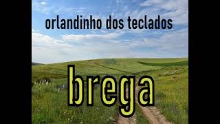 orlandinho dos tecladoscanta só brega [upl. by Cori]