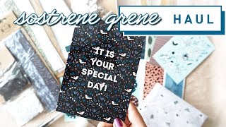 Haul  Sostrene Grene – Stationery und edle Pommespicker [upl. by Atrahc]