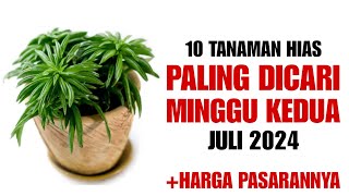 10 Tanaman Hias Paling Dicari di Minggu Kedua Bulan Juli 2024 [upl. by Einnalem59]