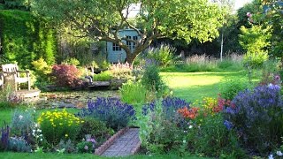 The Cottage Garden in Surrey  An English Country Garden Through the Seasons [upl. by Aramo]