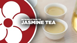 Intro to Jasmine Tea [upl. by Pfister560]