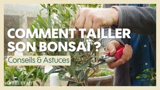 Comment tailler un bonsaï   Truffaut [upl. by Marelya]