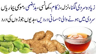 Adrak or Green Elaichi ka Kahwa  Sardion ka Kahwa 1 Cup Ginger Cardimon Tea [upl. by Tfat]