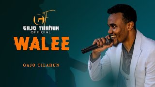 Gajo Tilahun WALEE New Oromo Music video 2024 [upl. by Ayaj]