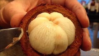 How to prepare a Mangosteen [upl. by Myrt]